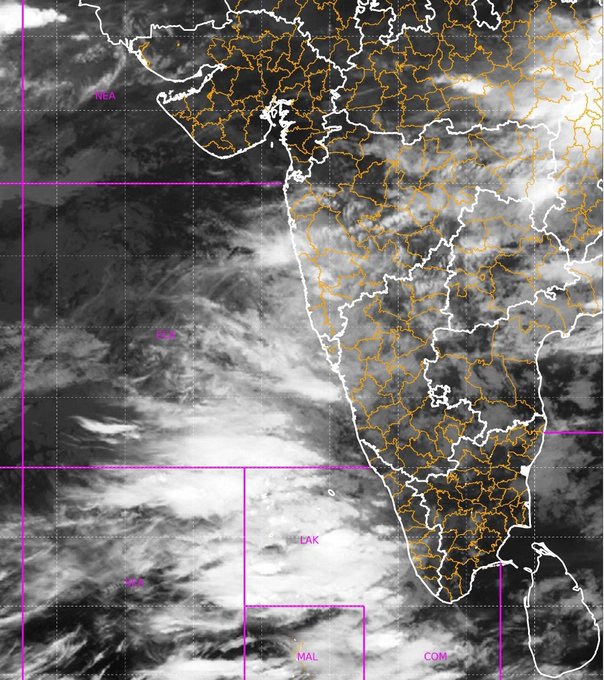 Pune's Tamhini records 340mm rainfall